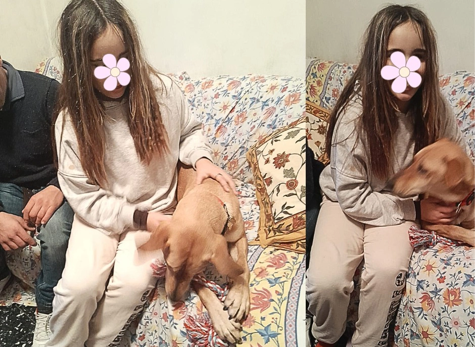 599945635 1287249750113286 6652345840365980073 n