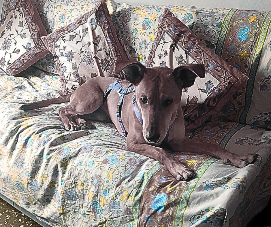 600372423 1287210743450520 225765726891159219 n