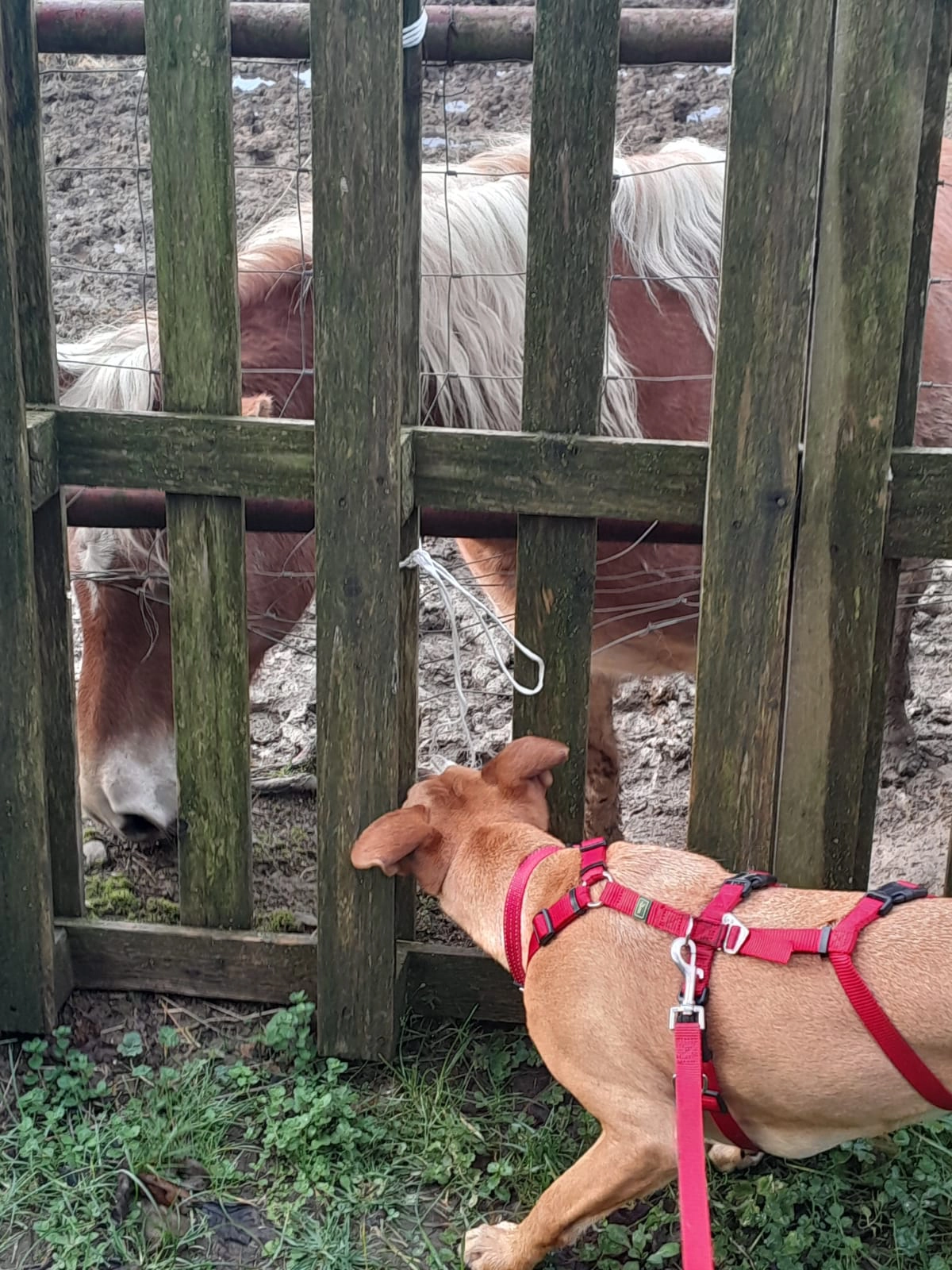 603795510 1287250030113258 6203811265865932332 n