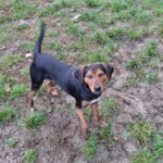 Immagine WhatsApp 2025 12 03 ore 09.33.20 20348957