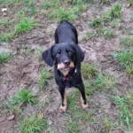 Immagine WhatsApp 2025 12 03 ore 09.33.20 ba898511