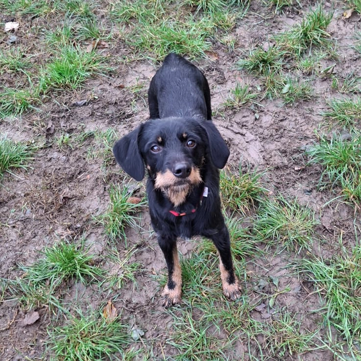 Immagine WhatsApp 2025-12-03 ore 09.33.20_ba898511