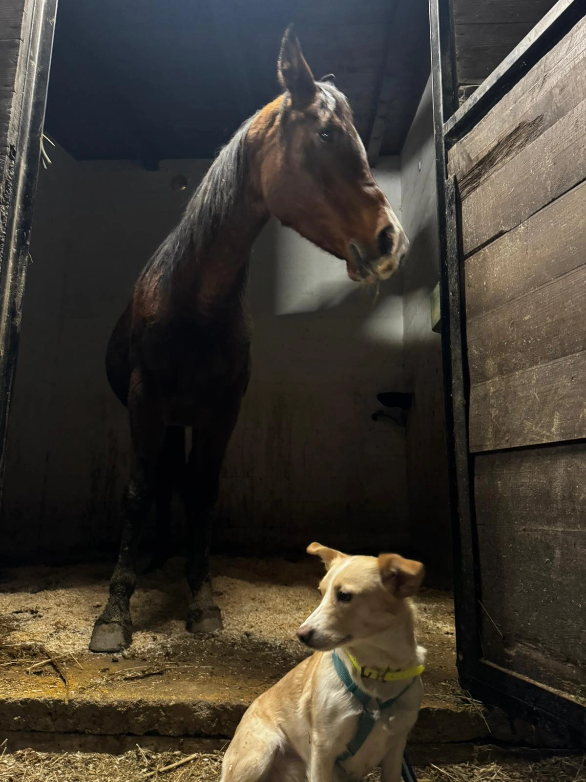 614136751 1303774101794184 3817253848057271712 n