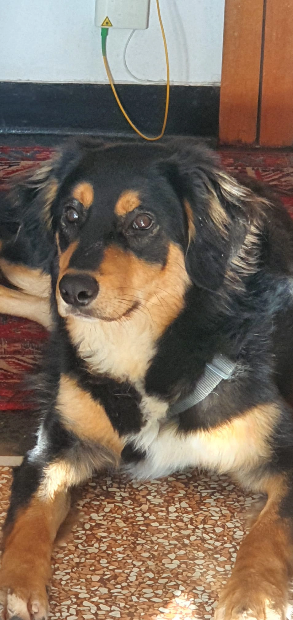 614267069 1304107158427545 4667639701156284774 n