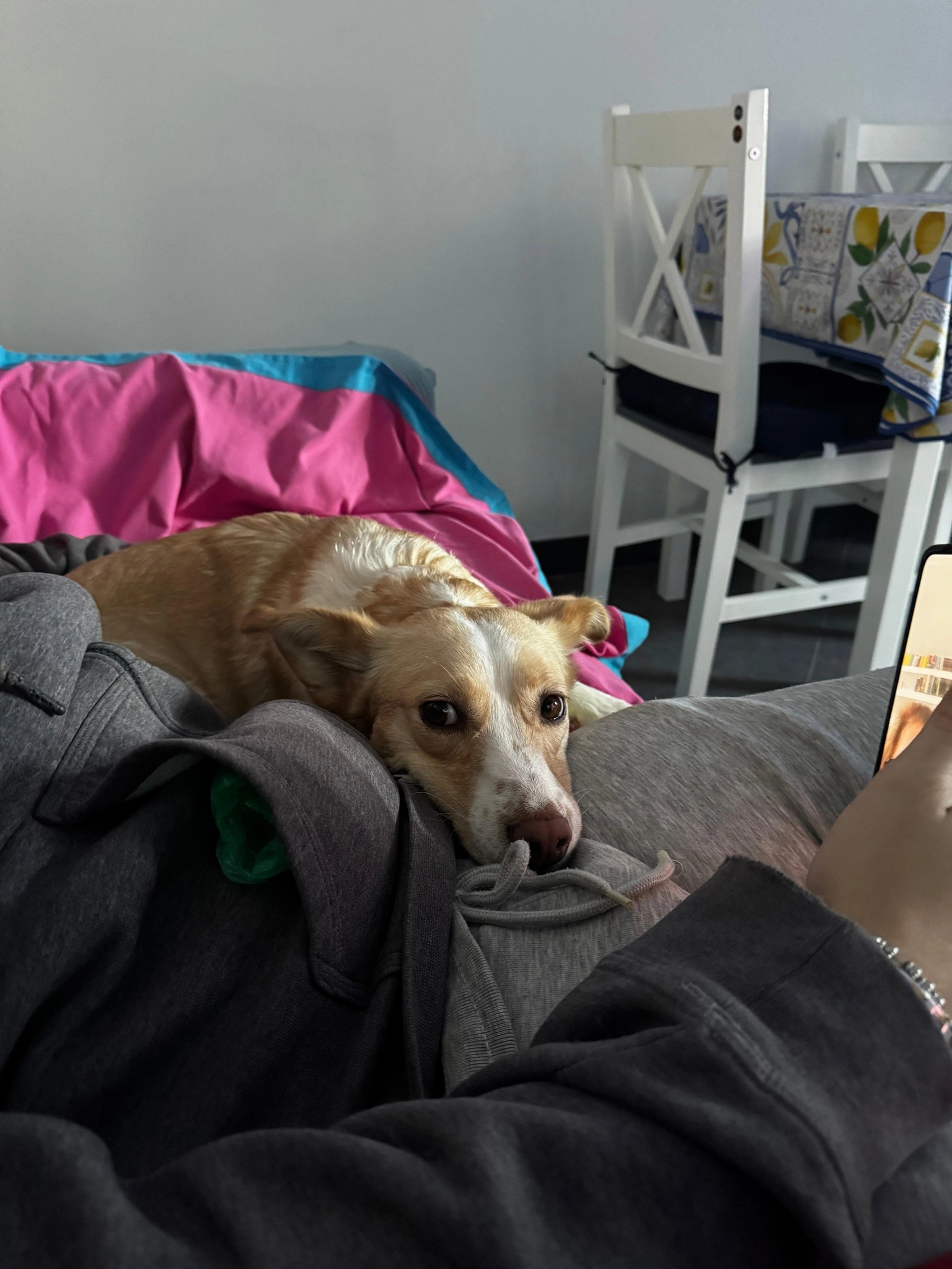 614291607 1303773818460879 3892433494057694230 n