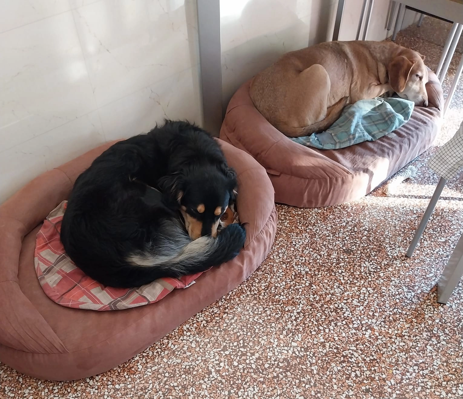 614347093 1304108548427406 8325946922108031850 n