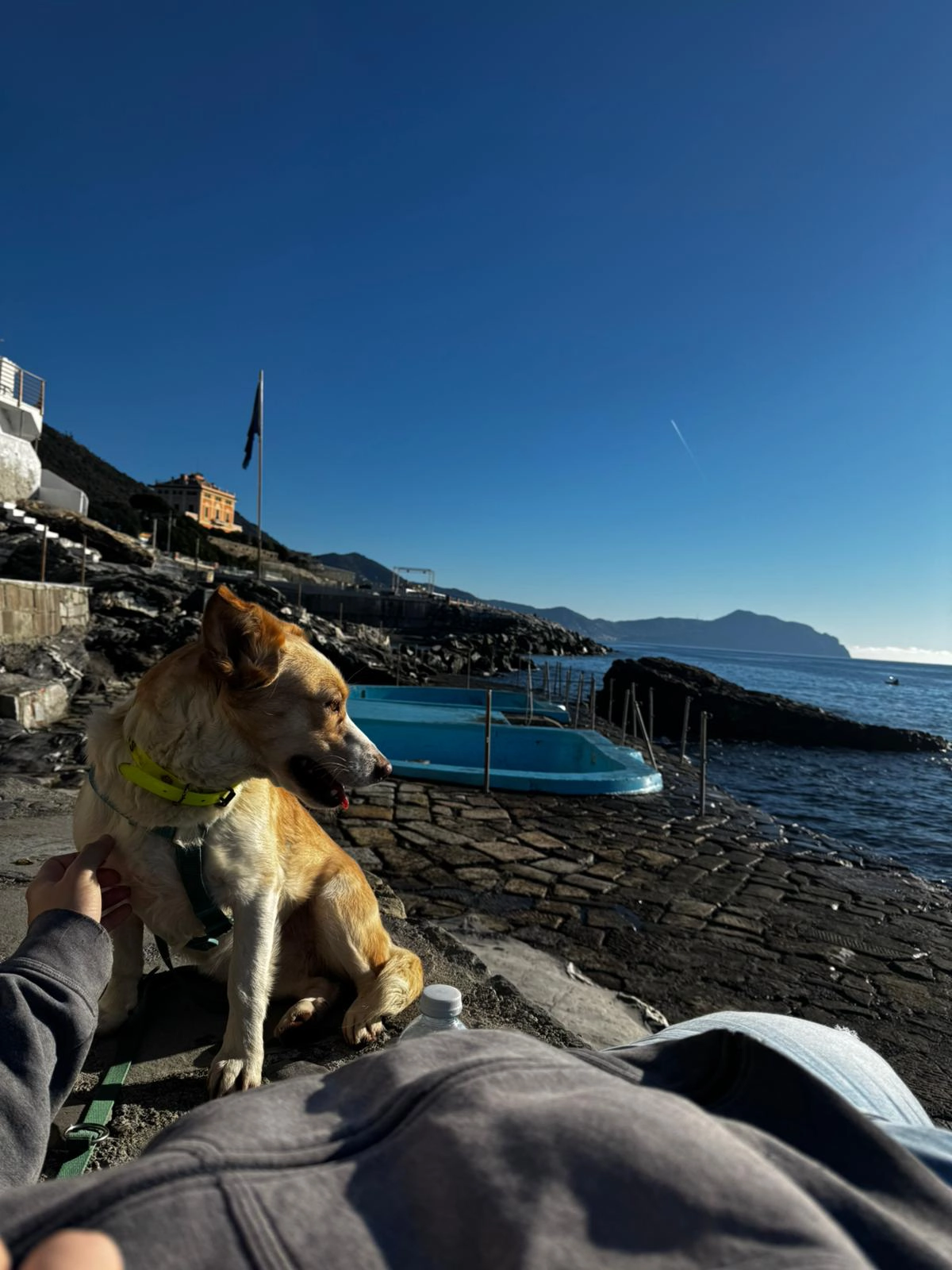 614386407 1303773531794241 1475280635039461334 n