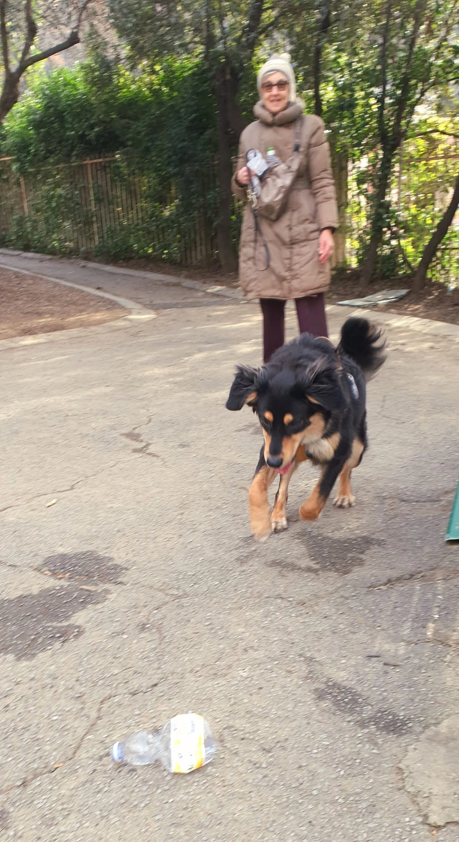 614467814 1304107931760801 2508593433602968693 n