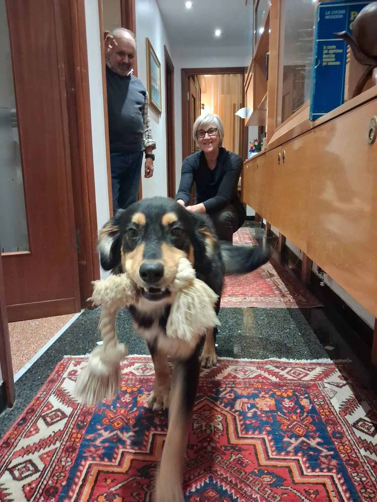 614541888 1304106371760957 5642202050875867825 n