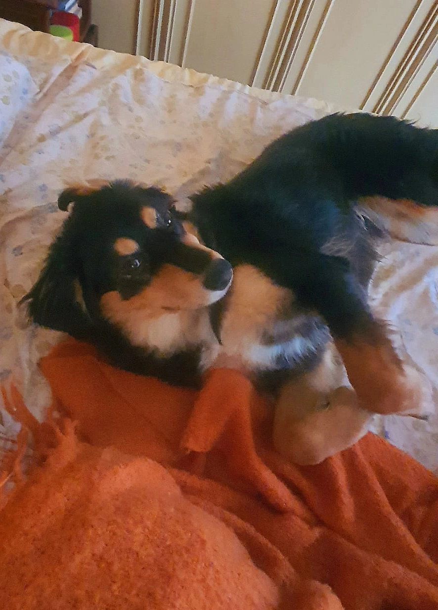 614567851 1304108331760761 3948103055671614855 n