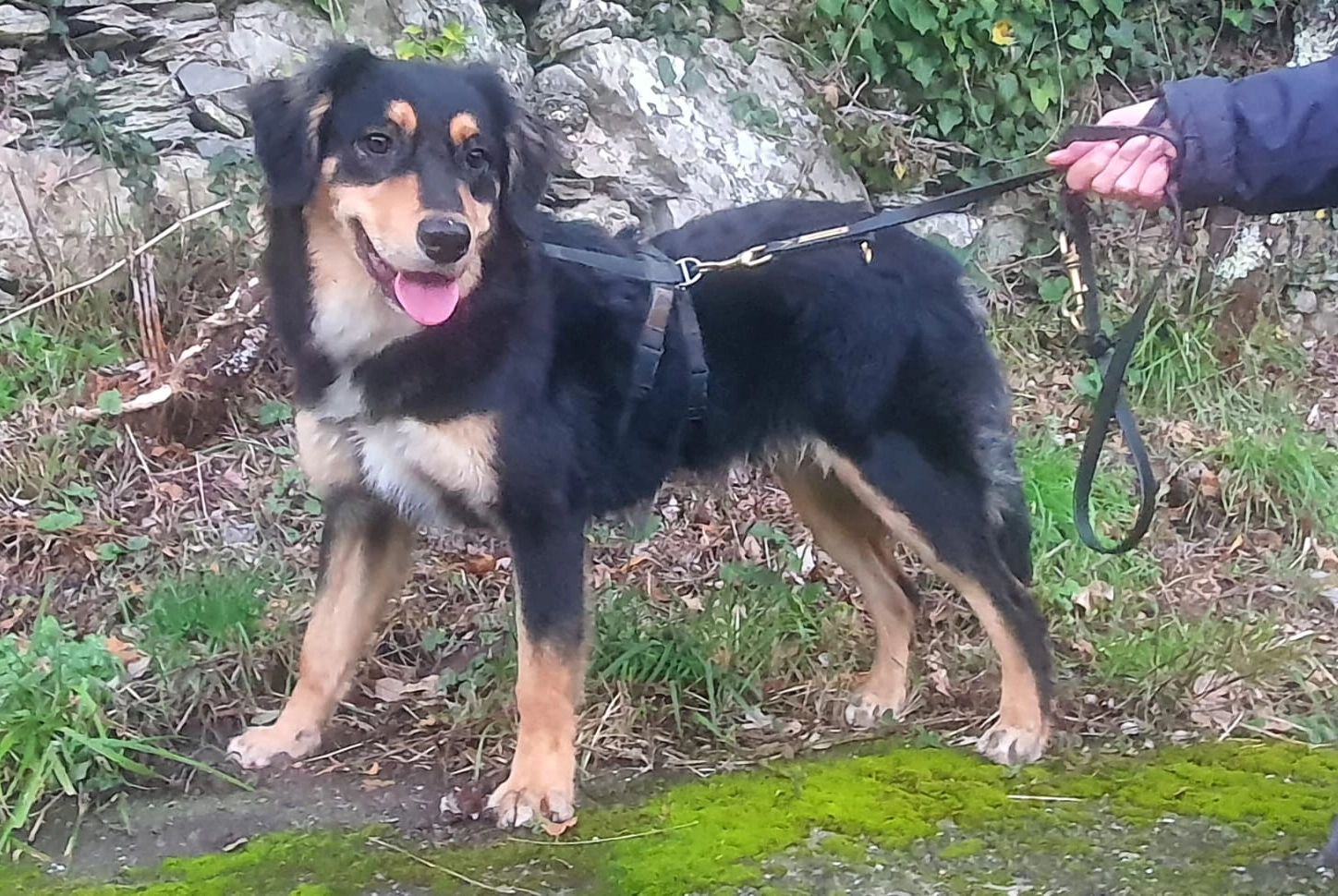 614611945 1304106808427580 8616476592651310684 n