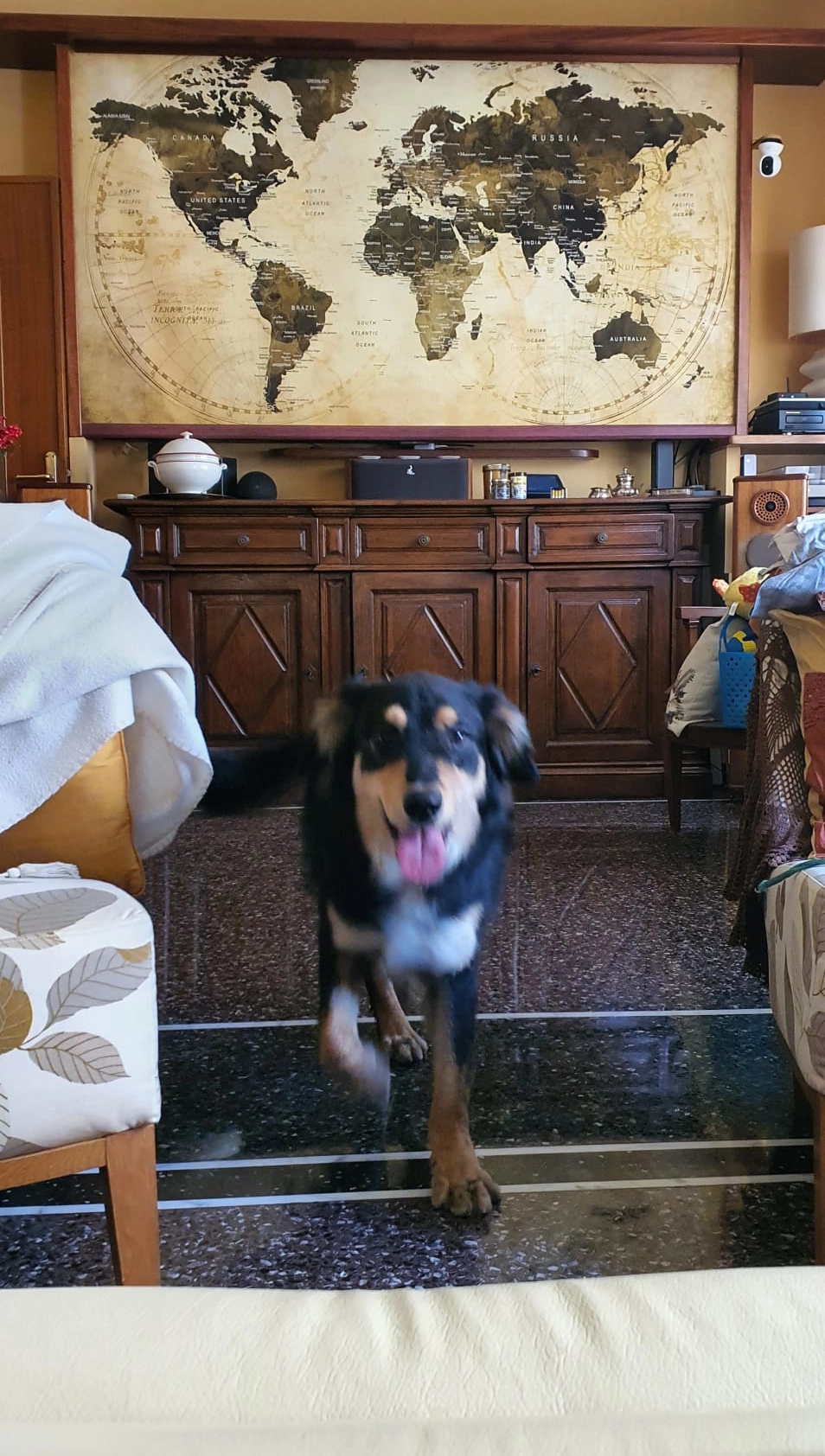 614948599 1304106911760903 5269143190287412548 n