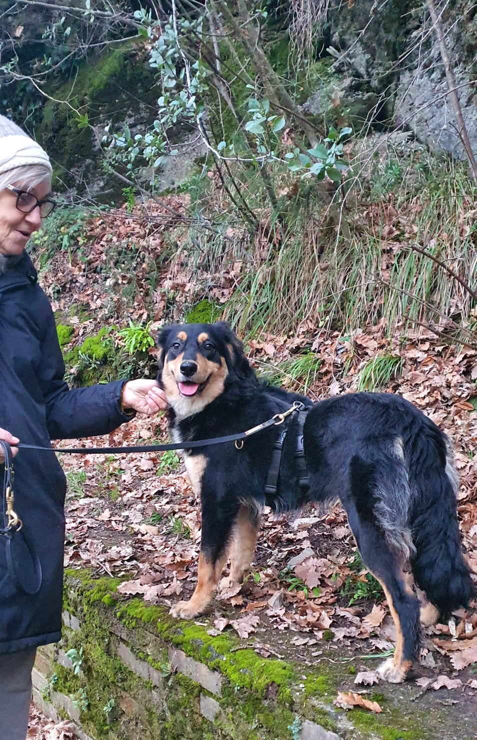 615026655 1304106485094279 6811490416174739392 n