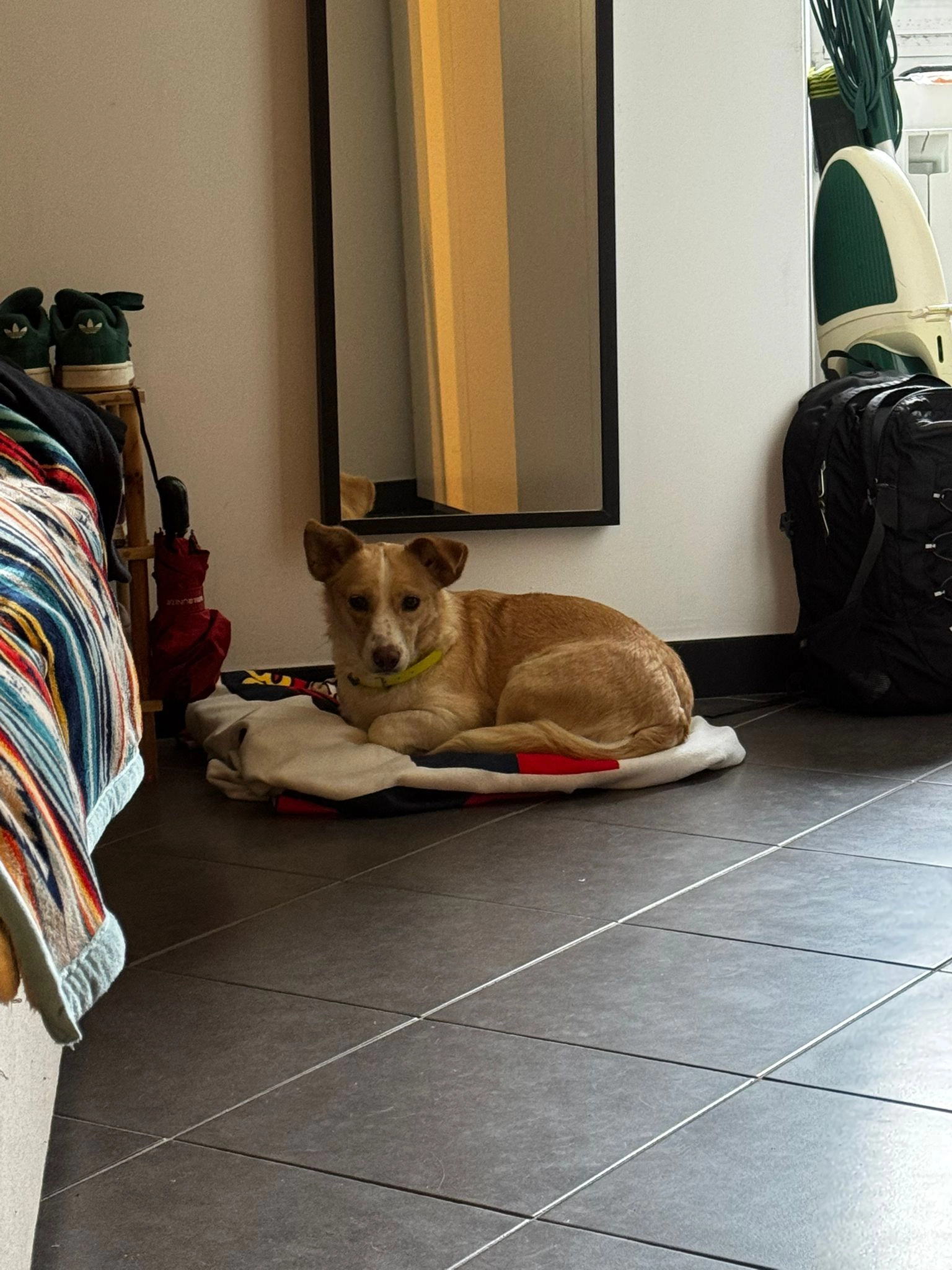 615098335 1303773228460938 8015097475352206918 n