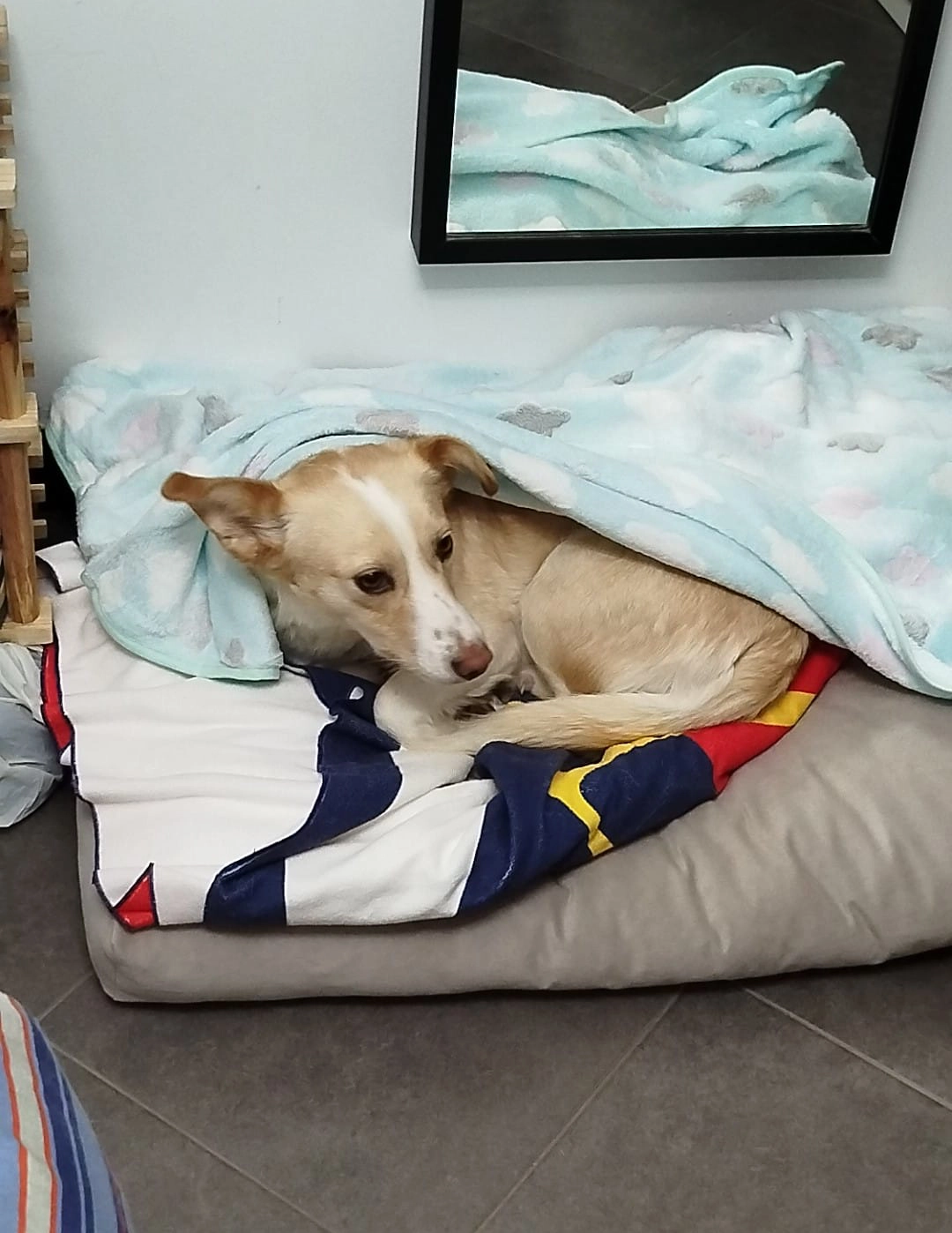 615109921 1303774278460833 3169092669956697682 n