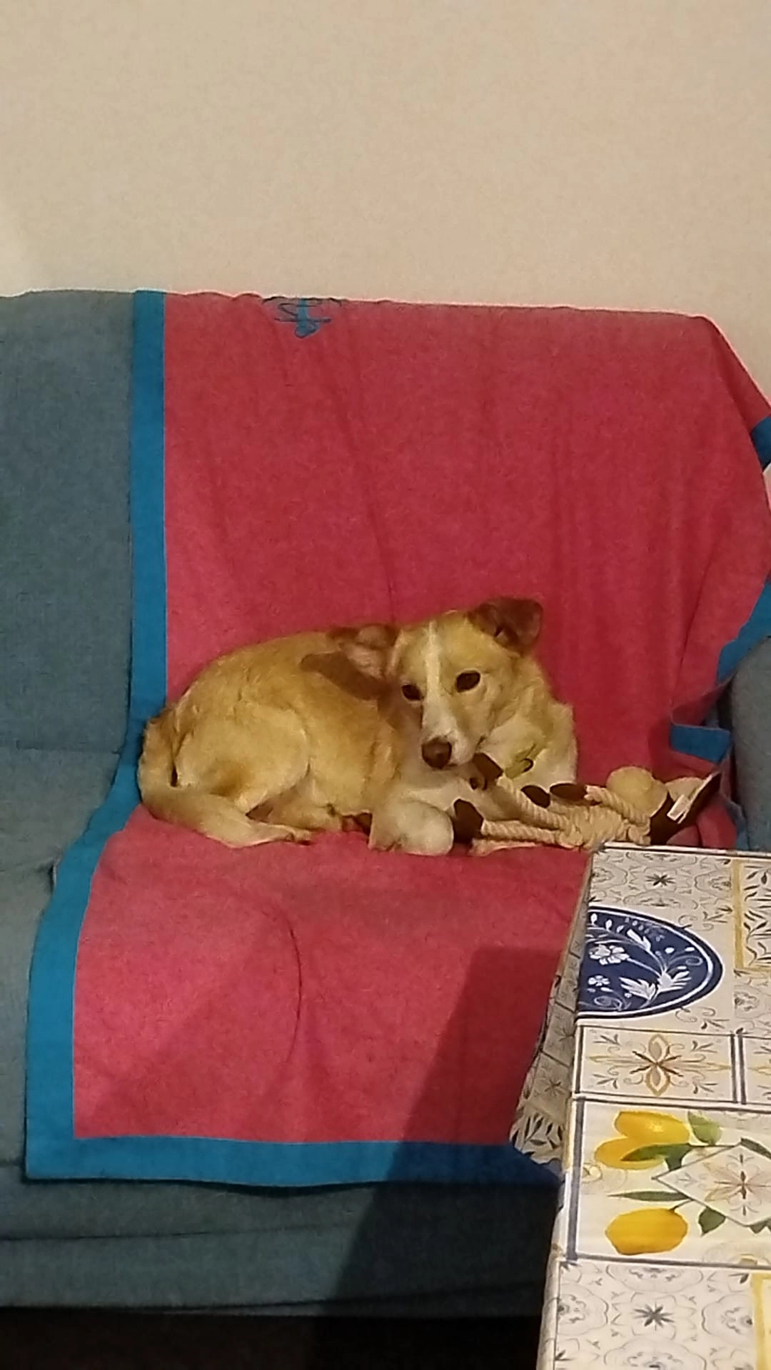 615117016 1303773841794210 5693148765691825612 n