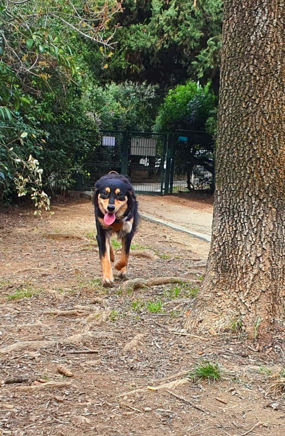 615157015 1304108251760769 45021466939068965 n