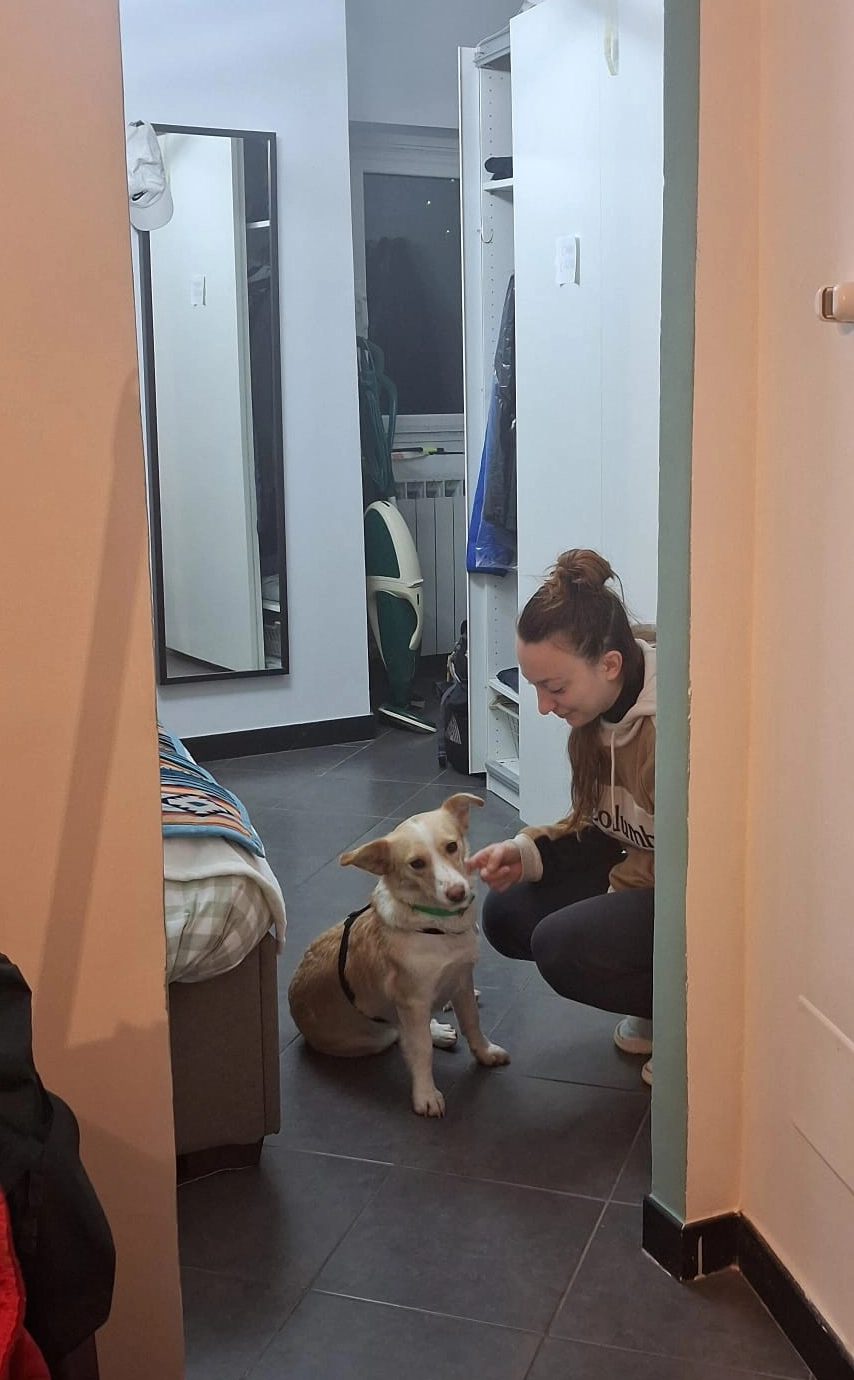 615168938 1303773281794266 1587508773939760174 n