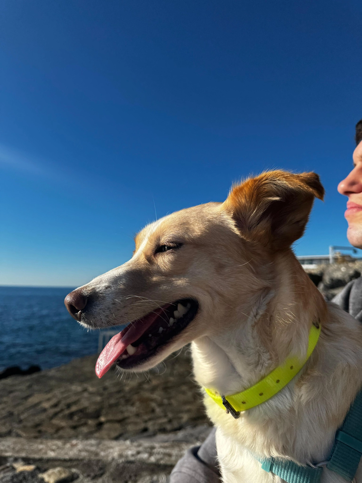 615188953 1303773711794223 2158919905627959299 n