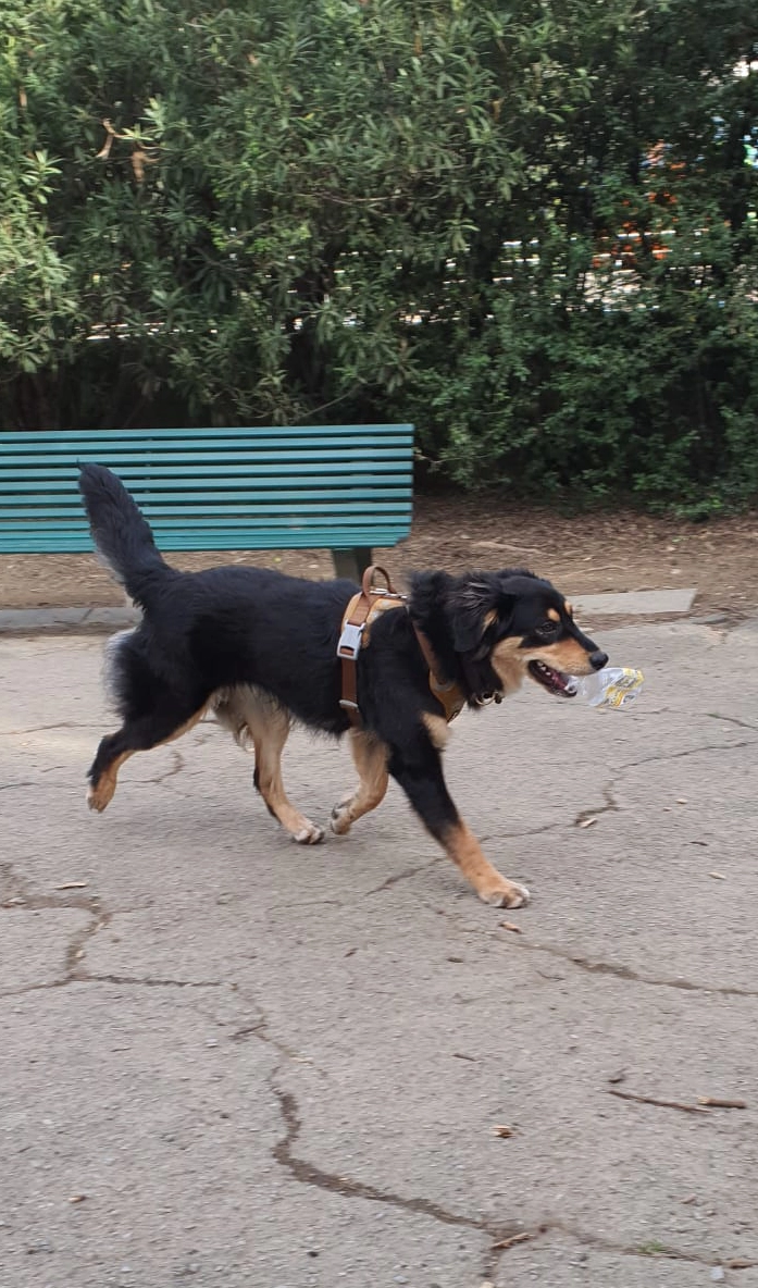 615332255 1304108065094121 4021410795090451627 n