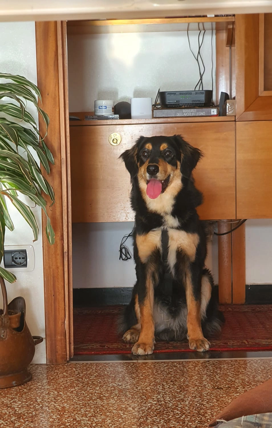 615440816 1304107061760888 7185839176518728688 n