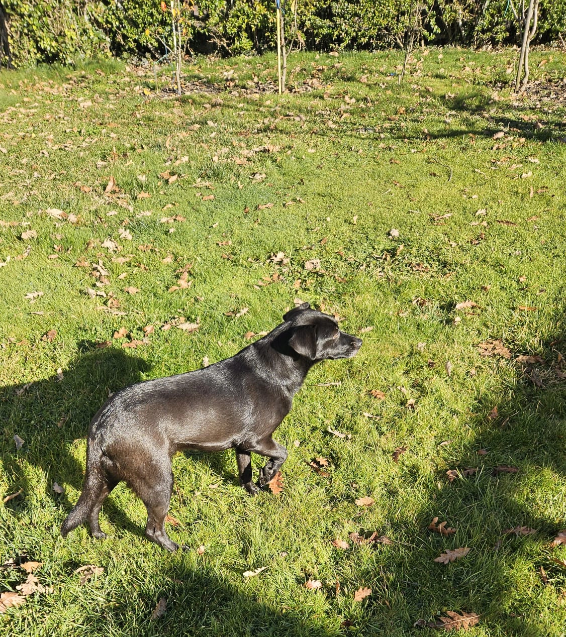 WhatsApp Image 2026 01 12 at 08.4