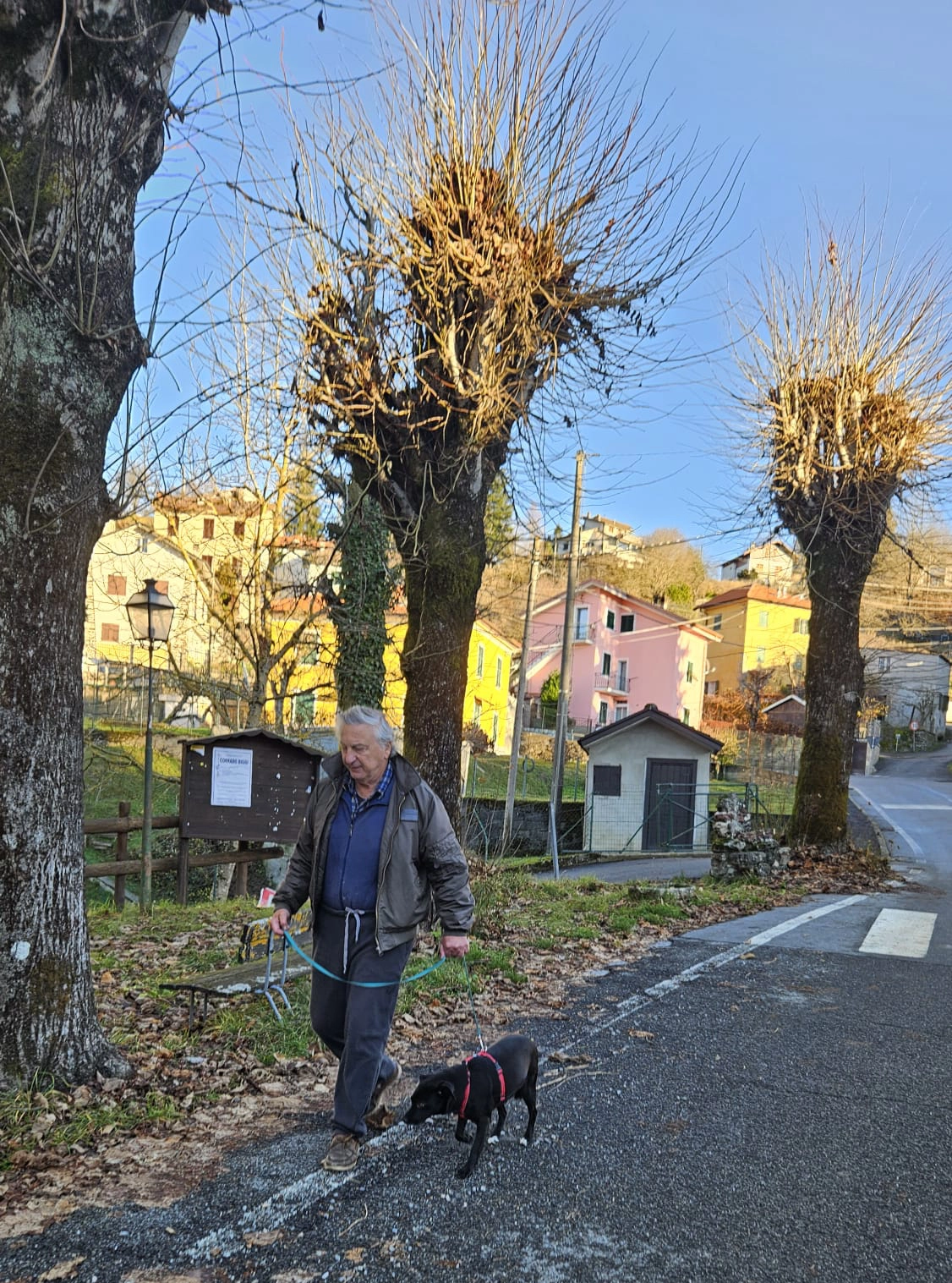 WhatsApp Image 2026 01 12 at 08.41.09