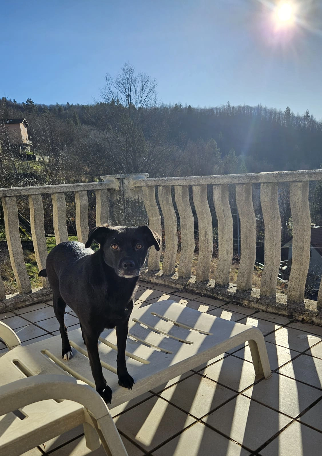 WhatsApp Image 2026 01 12 at 08.41.1