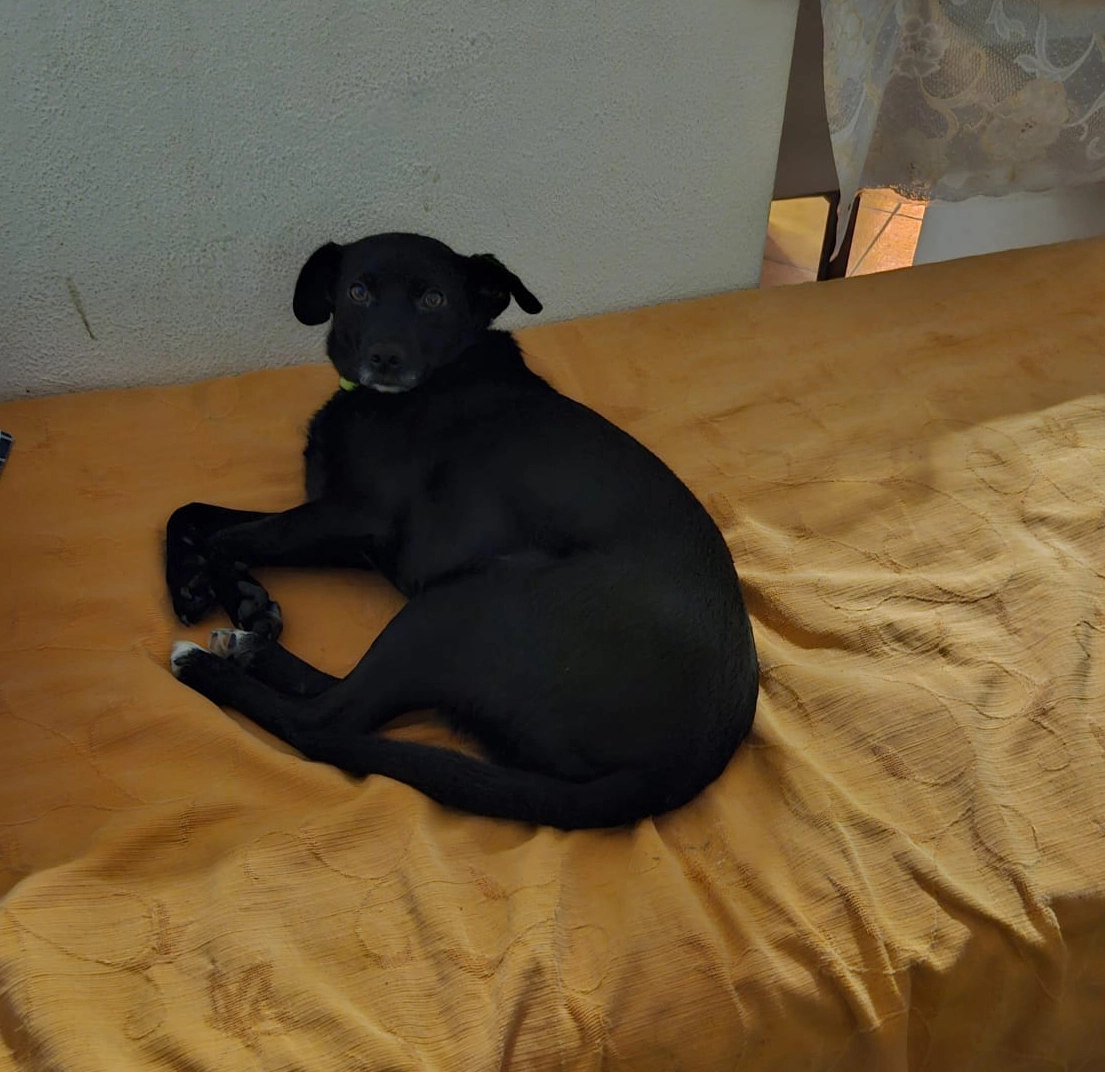 WhatsApp Image 2026 01 12 at 08.41.4