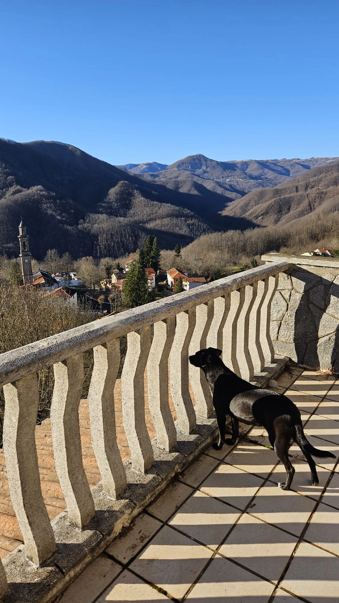 WhatsApp Image 2026 01 12 at 08.41.45