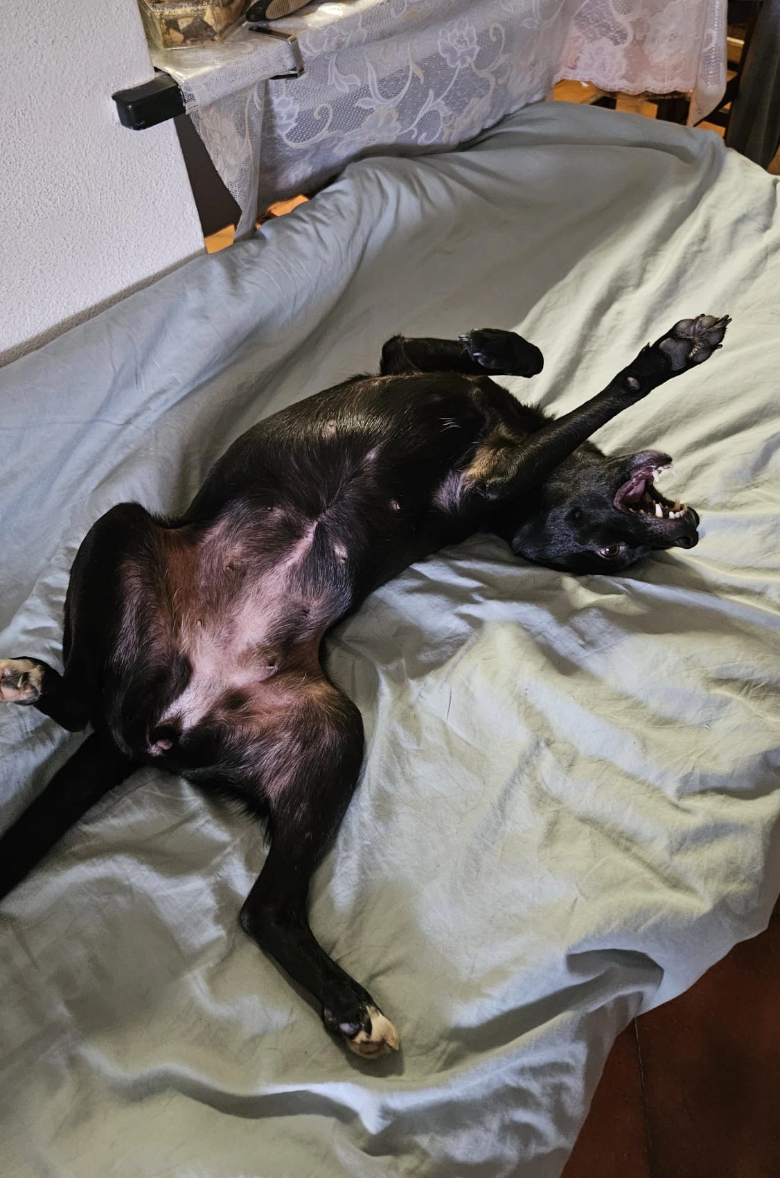 WhatsApp Image 2026 01 12 at 08.42.19