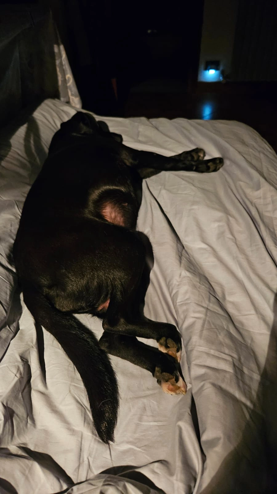 WhatsApp Image 2026 01 12 at 08.42.49